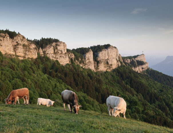 Paysage-2